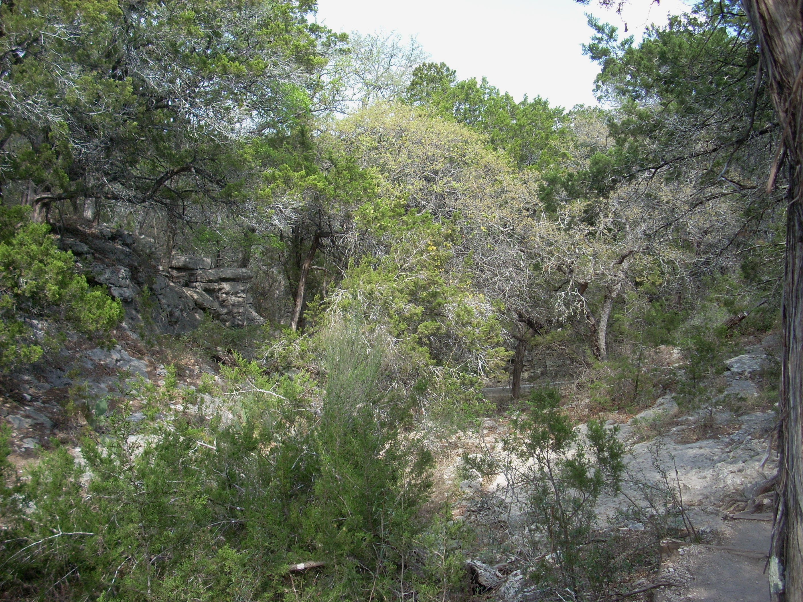 Hamilton Pool Preserve